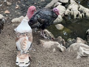 HKSAR благодари за подкрепата след пожар в жилищен комплекс