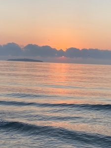 Нови енергийни превозни средства в Китай: От „функционални“ до „приятни за шофиране“