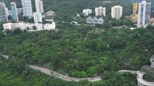 Среща с ханфу в полетата с божури на Хезе