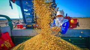 UK property listings reach decade high as sales slow