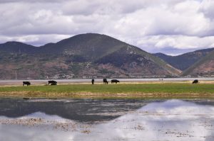 Giraffe360 secures £7.5m Series B funding round