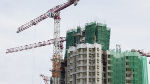 Japanese knotweed reduces UK property values by £21.4bn