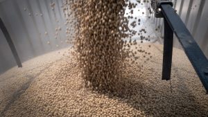 Резултатите от проучването показват, че хората в Тайван са „силно недоволни“ от властите на DPP: говорителка на континенталната част