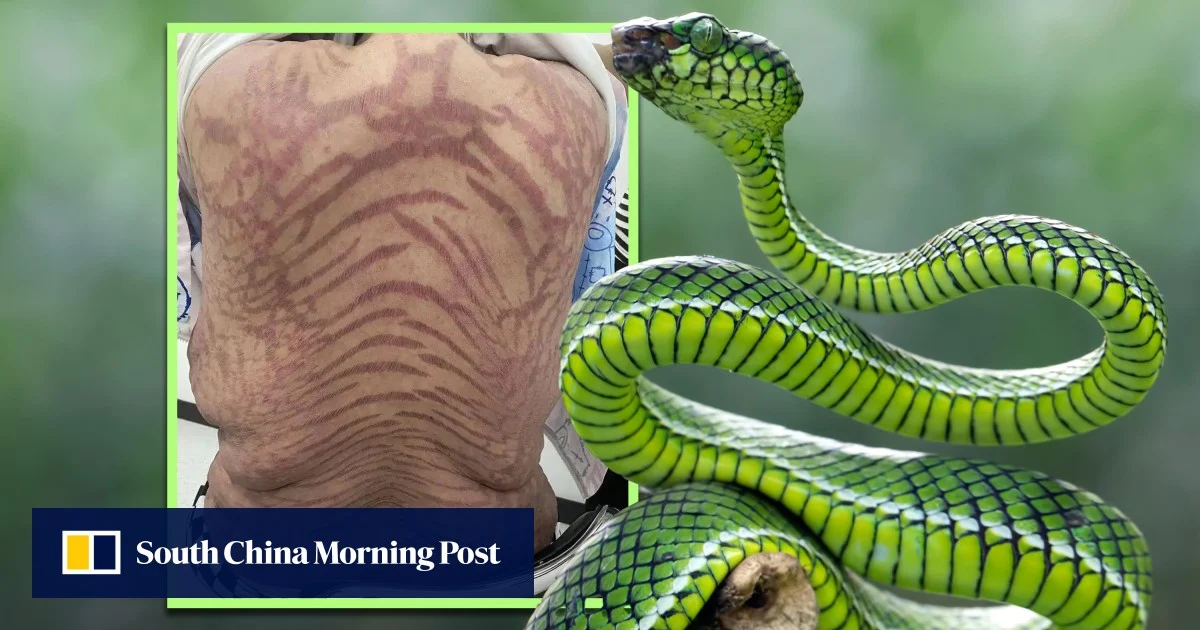 Връзките между Китай и АСЕАН се разглеждат като ключови за изграждането на приобщаващ ИИ