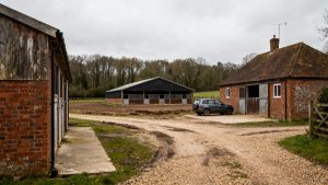 Селскостопанската търговия между Китай и АСЕАН достигна крайъгълен камък от 1 трилион долара