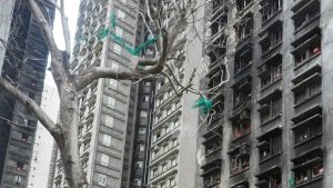 Грешките в протокола от изслушването на пожара в Тай По в Хонконг предизвикват опасения относно прозрачността